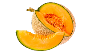 musk-melon-plr